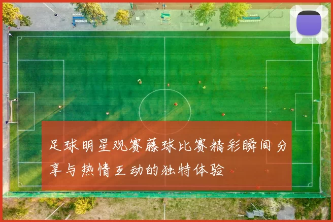 足球明星观赛藤球比赛精彩瞬间分享与热情互动的独特体验